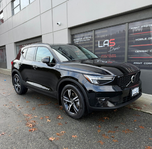 Can Ceramic Coating Protect Against Bird Droppings?
