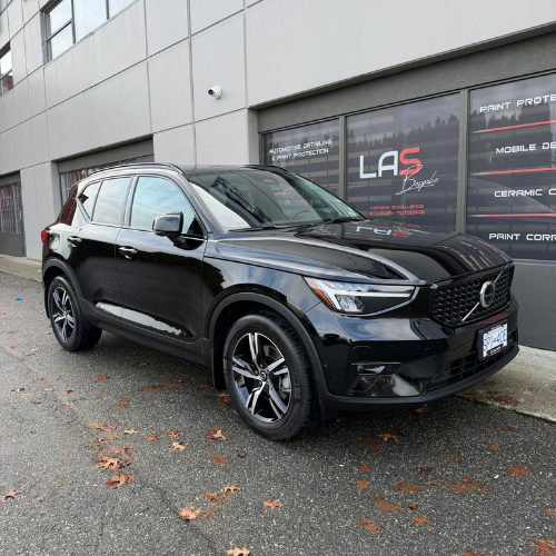 Can Ceramic Coating Protect Against Bird Droppings?