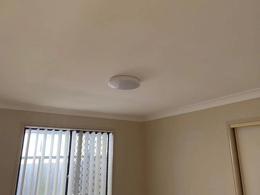 Plasterers in Algester