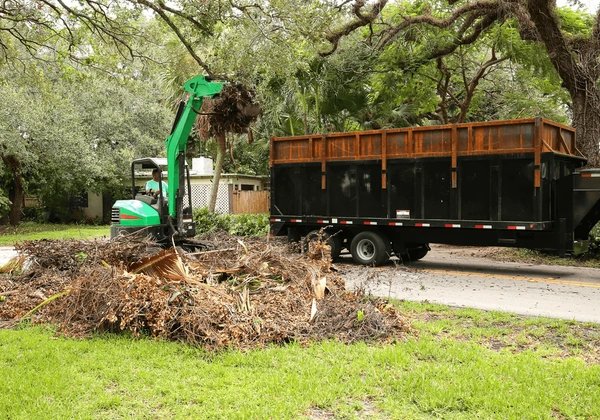 Affordable Junk Removal Service Near You for Fast Property Cleanup