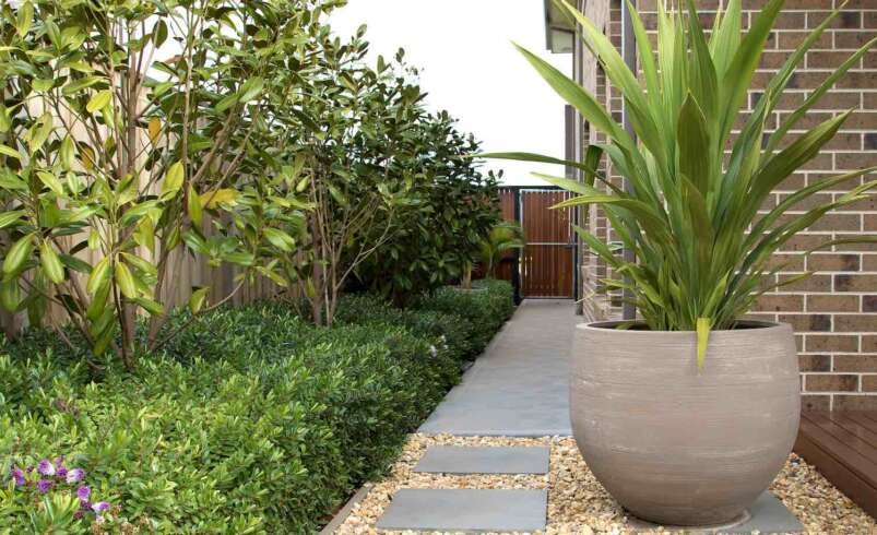 Landscaping in Fairfield East