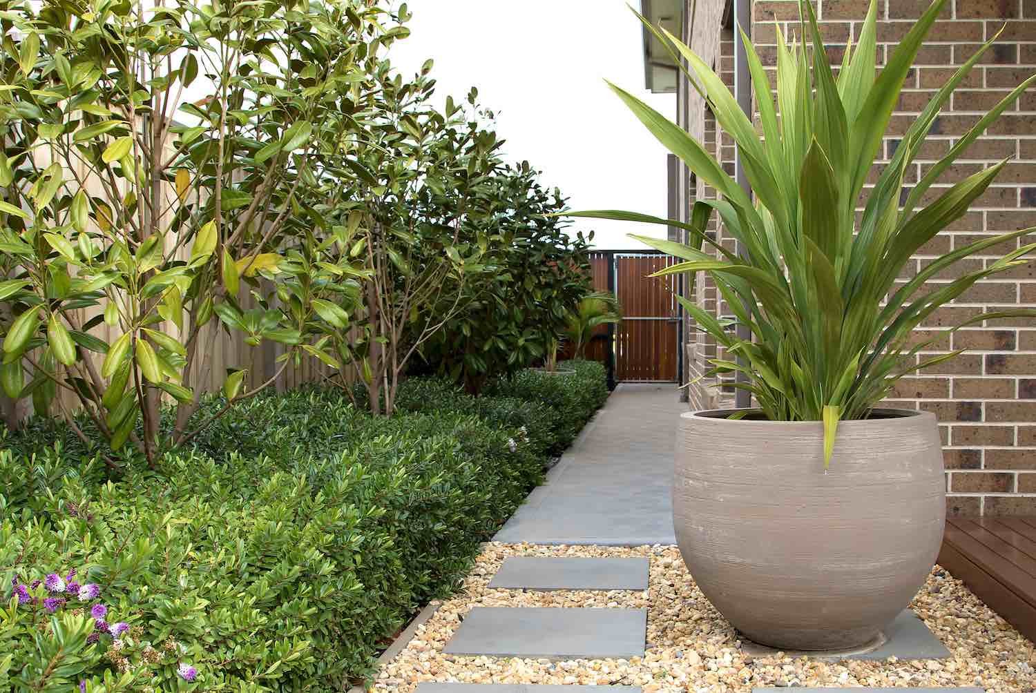 Landscaping in Fairfield East