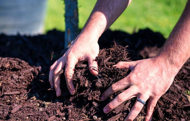 Mulching in Melbourne