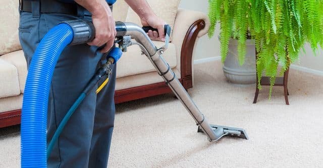 Professional Carpet Care for Cleaner, Healthier Homes