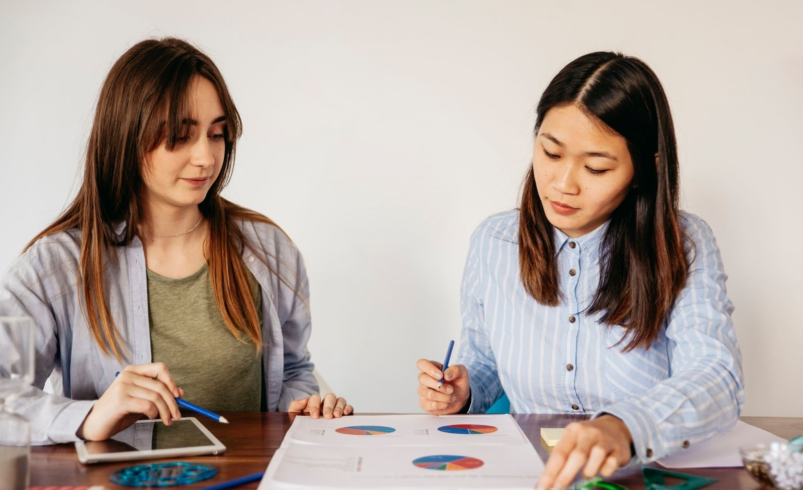 How Do My Assignment Services Improve Assignment Quality