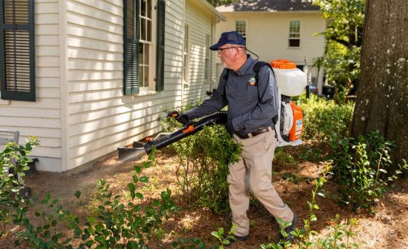 Ticks Control NYC: Protect Your Yard and Family From Ticks