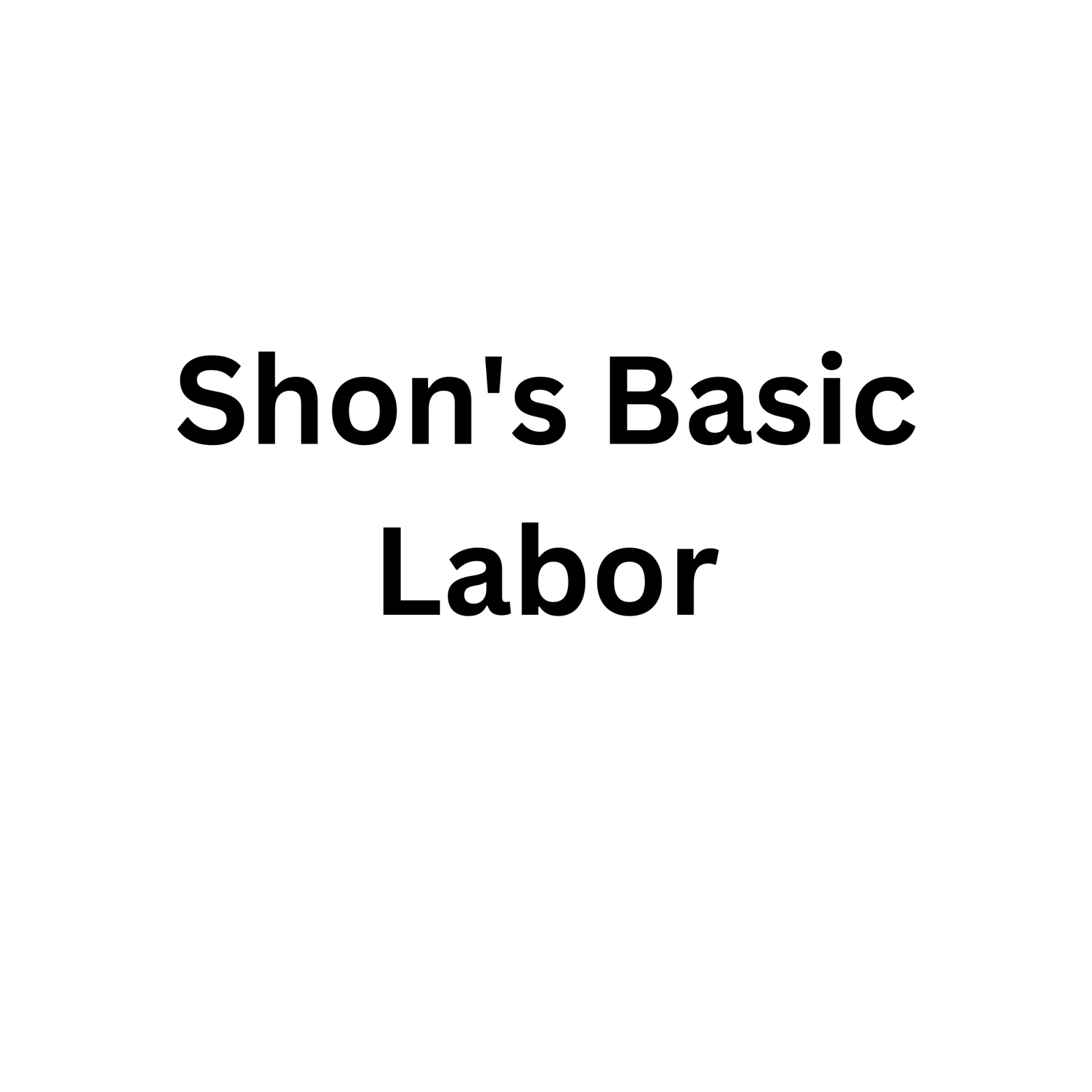 How Shon’s Basic Labor Delivers Quality Workmanship for Every Project?