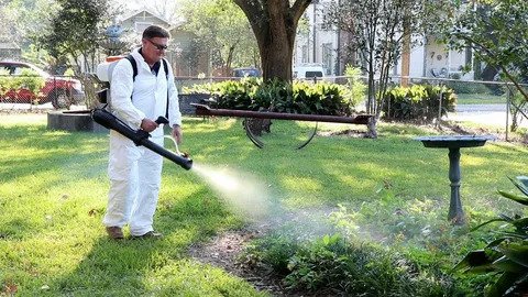Mosquito Removal Oklahoma City: A Complete Guide to Reclaiming Your Yard