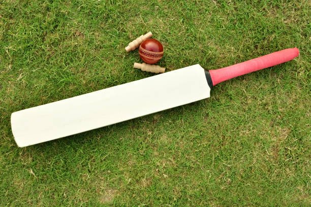 Softball Bats: How to Choose the Right Bat