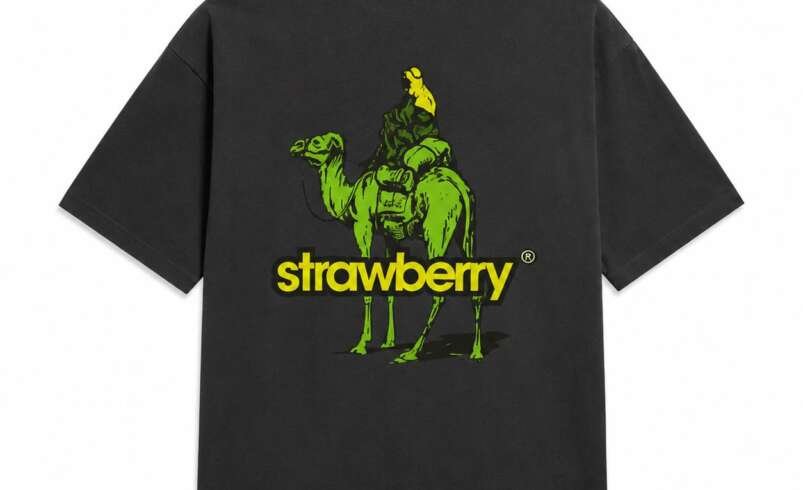 Why Can Strawberryclothing Bring More Character to Everyday USA Streetwear?