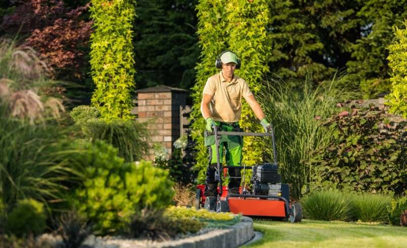 Professional Lawn Care Services for Beautiful and Healthy Yards in Haslet, TX