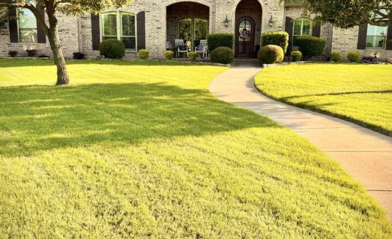 Salas Outdoor: Expert Fence Installation Arlington TX