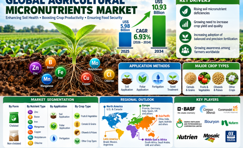 Agricultural Micronutrients Market Size, Share, Growth, Trends & Forecast 2026–2034